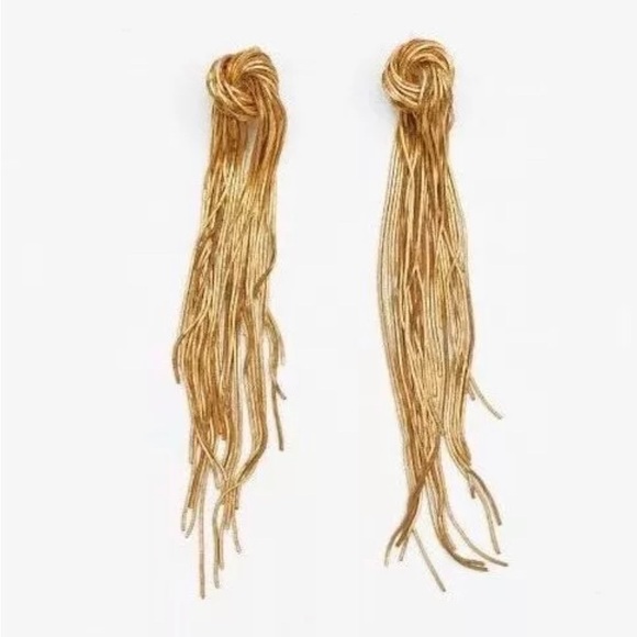 Jewelry - Dangle earring NWOT